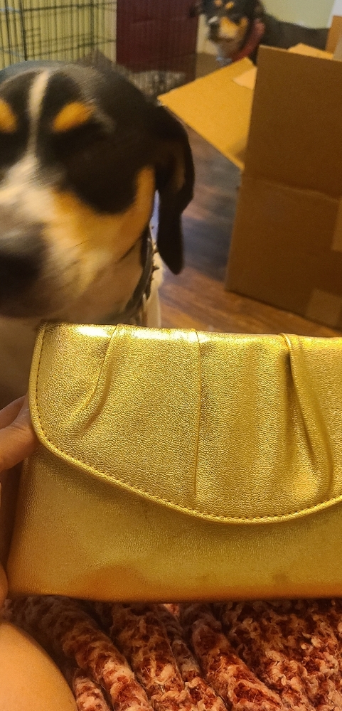Gold hand bag